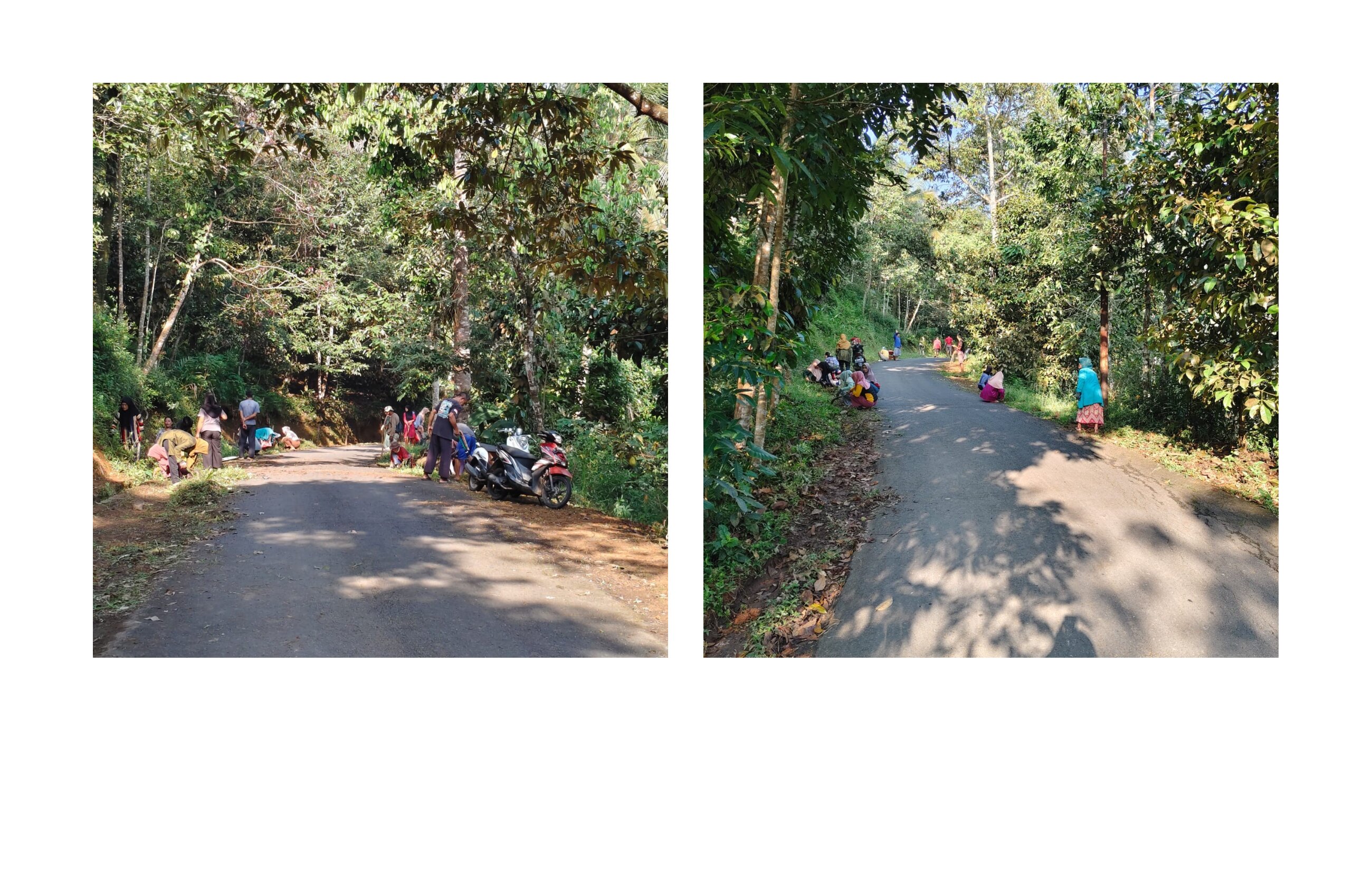 Kegiatan Pengandiran Jalan Desa